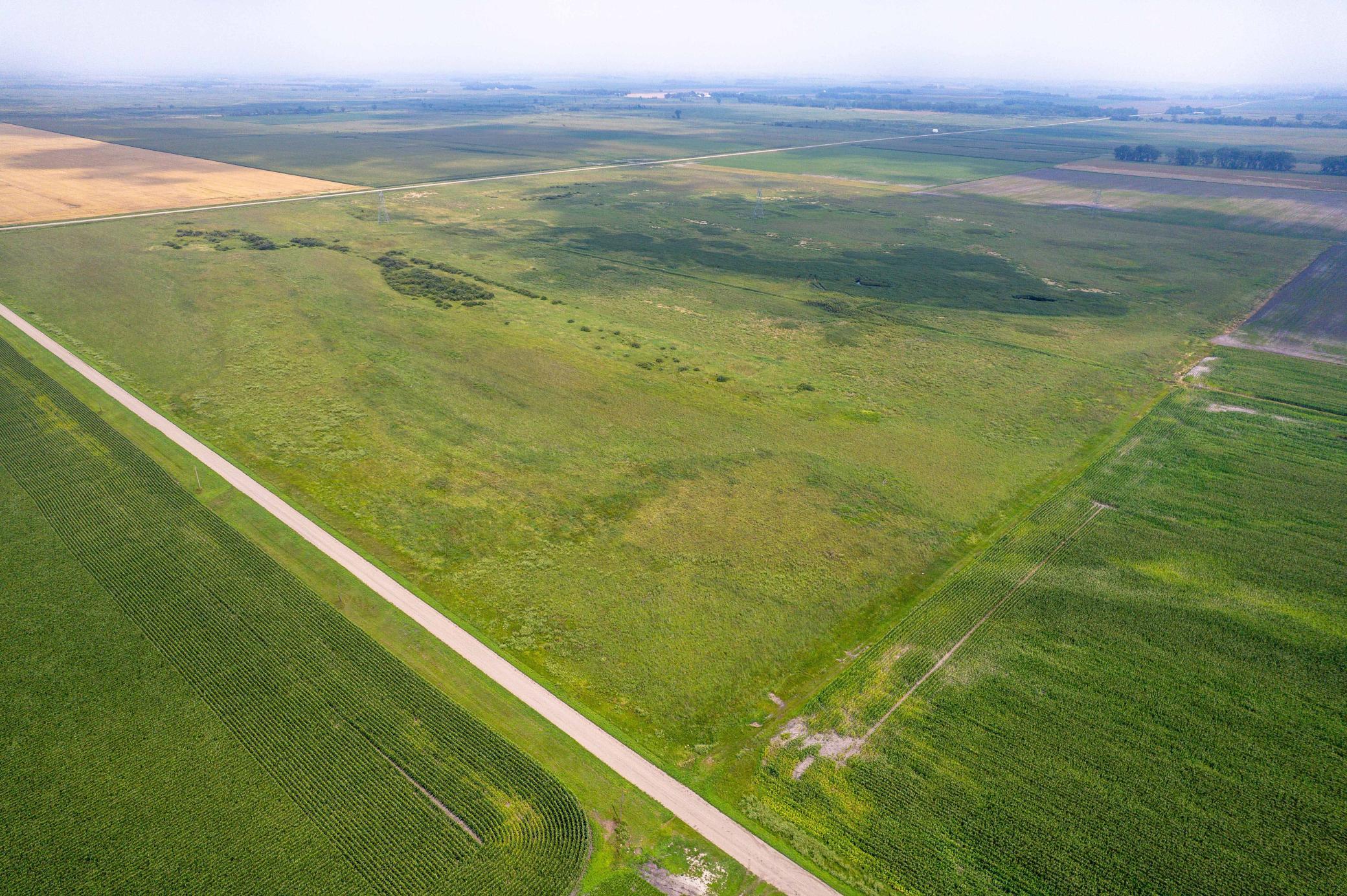 Tbd 250th Street Rothsay, MN 56579 - Photo 14 of 21