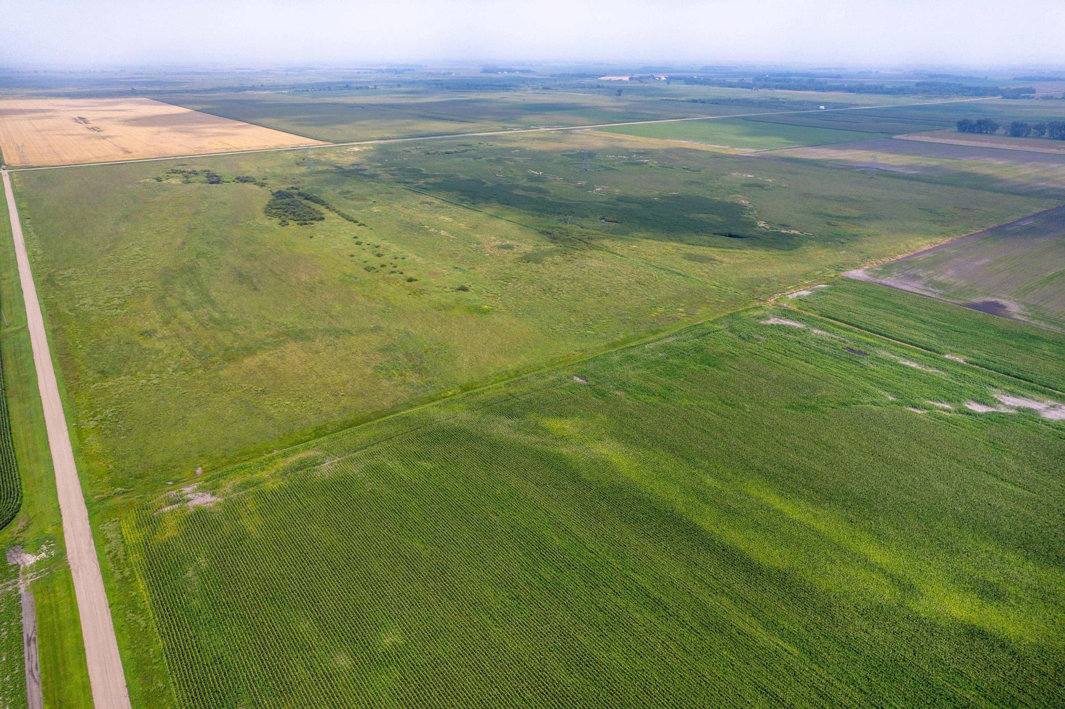 Tbd 250th Street Rothsay, MN 56579 - Photo 16 of 21