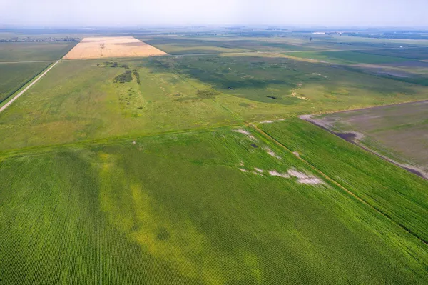 $160,000 | Tbd 250th Street, Rothsay, MN 56579