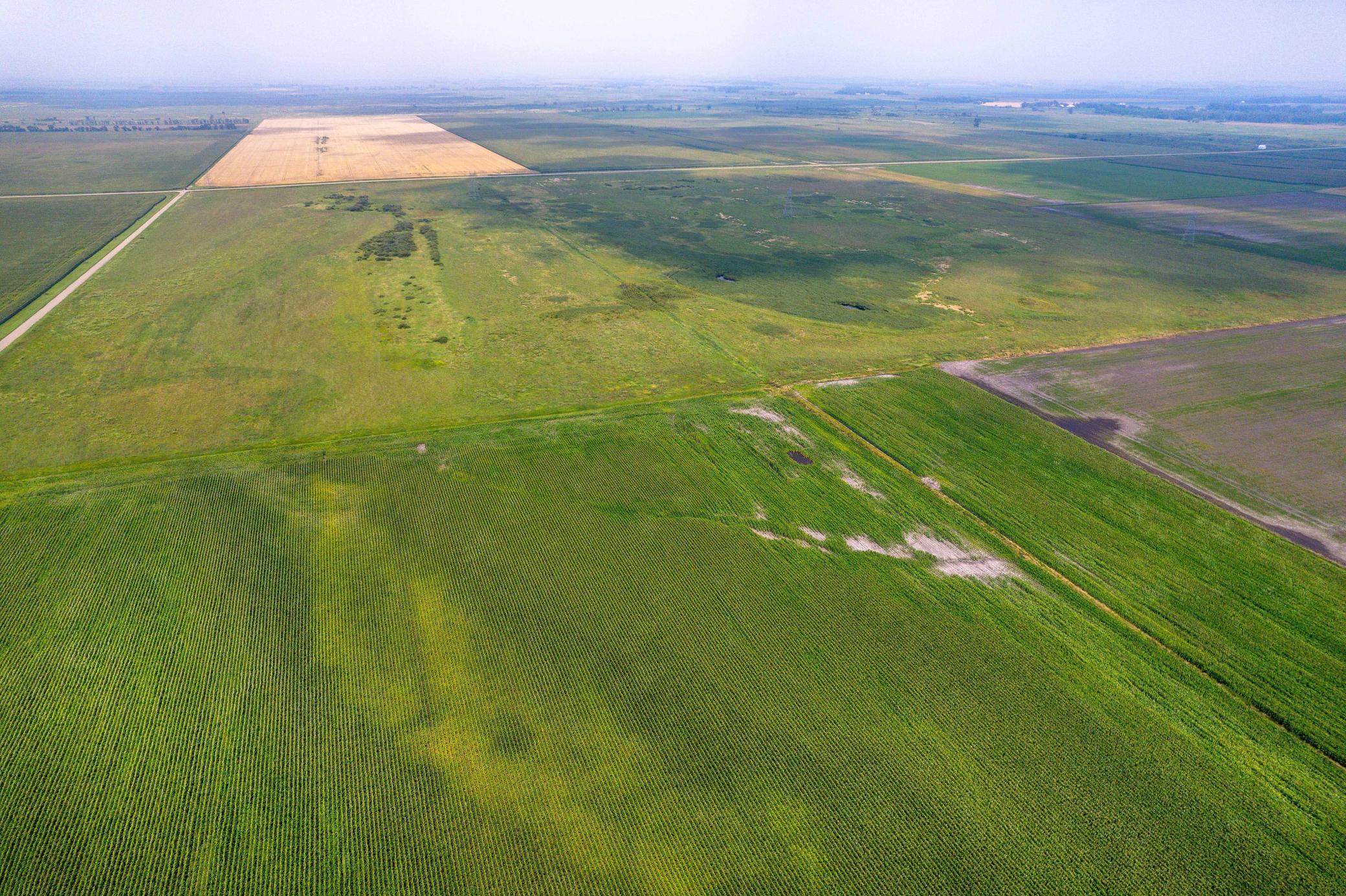 Tbd 250th Street Rothsay, MN 56579 - Photo 17 of 21