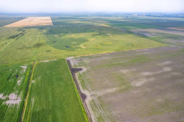 $160,000 | Tbd 250th Street, Rothsay, MN 56579