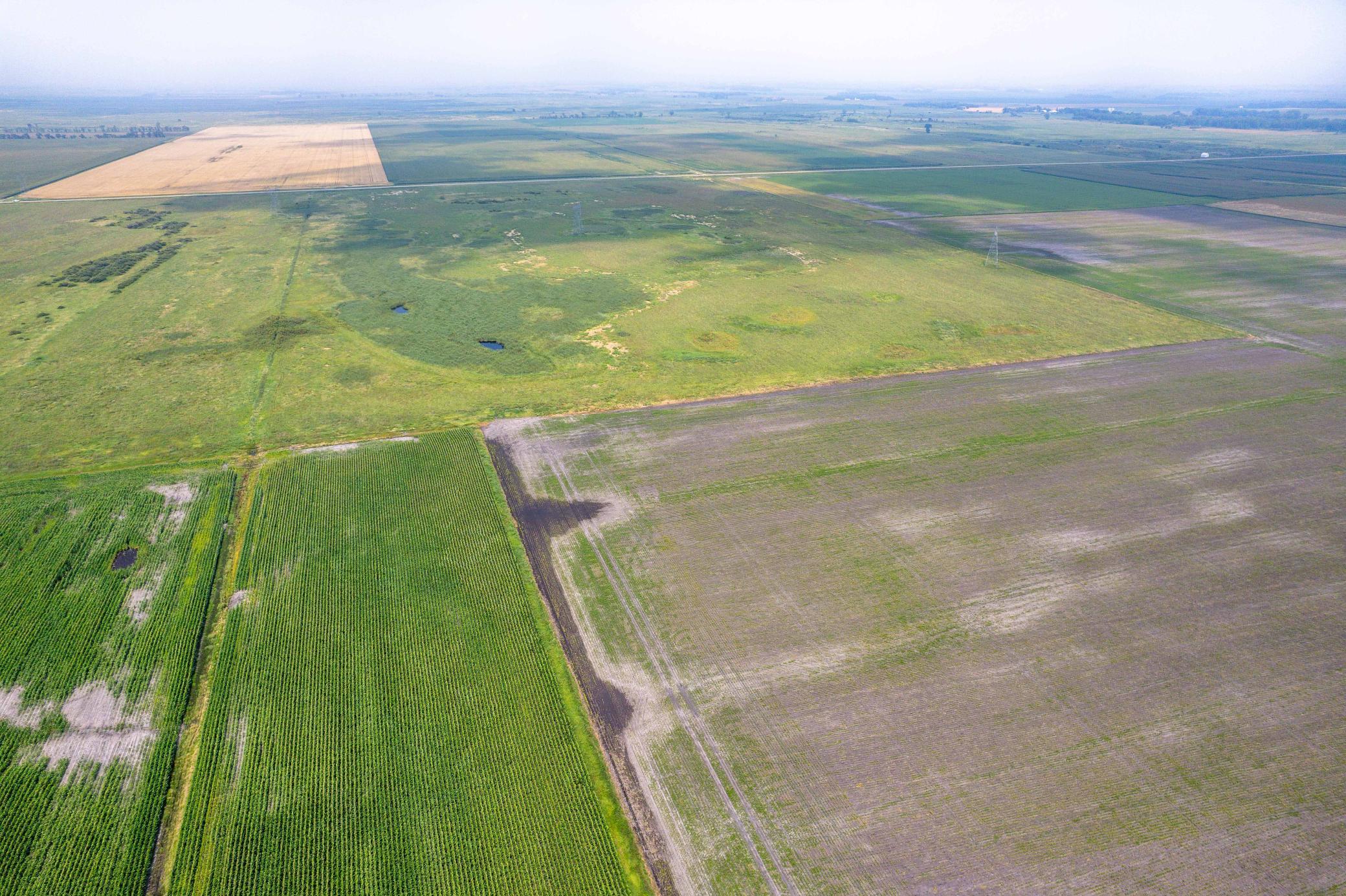 Tbd 250th Street Rothsay, MN 56579 - Photo 19 of 21