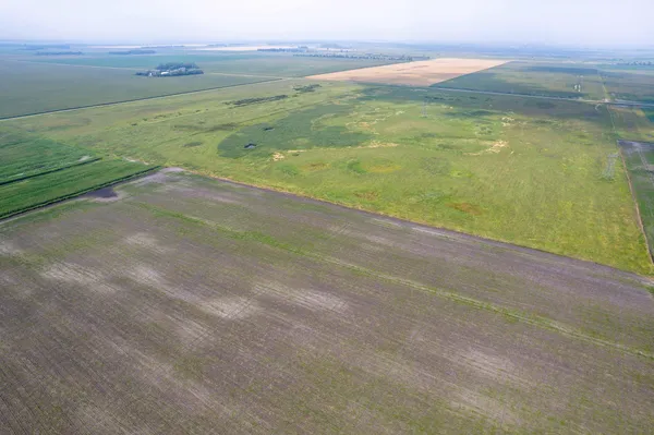 $160,000 | Tbd 250th Street, Rothsay, MN 56579