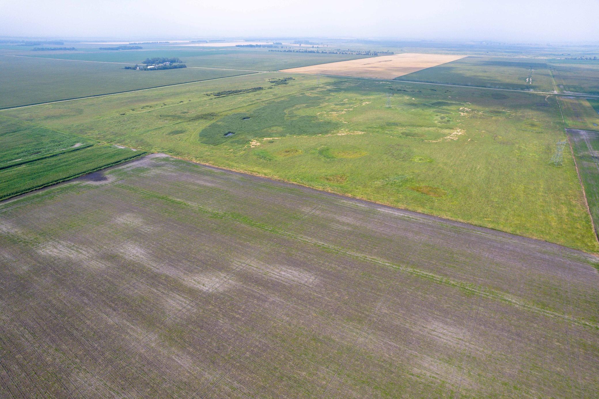 Tbd 250th Street Rothsay, MN 56579 - Photo 20 of 21