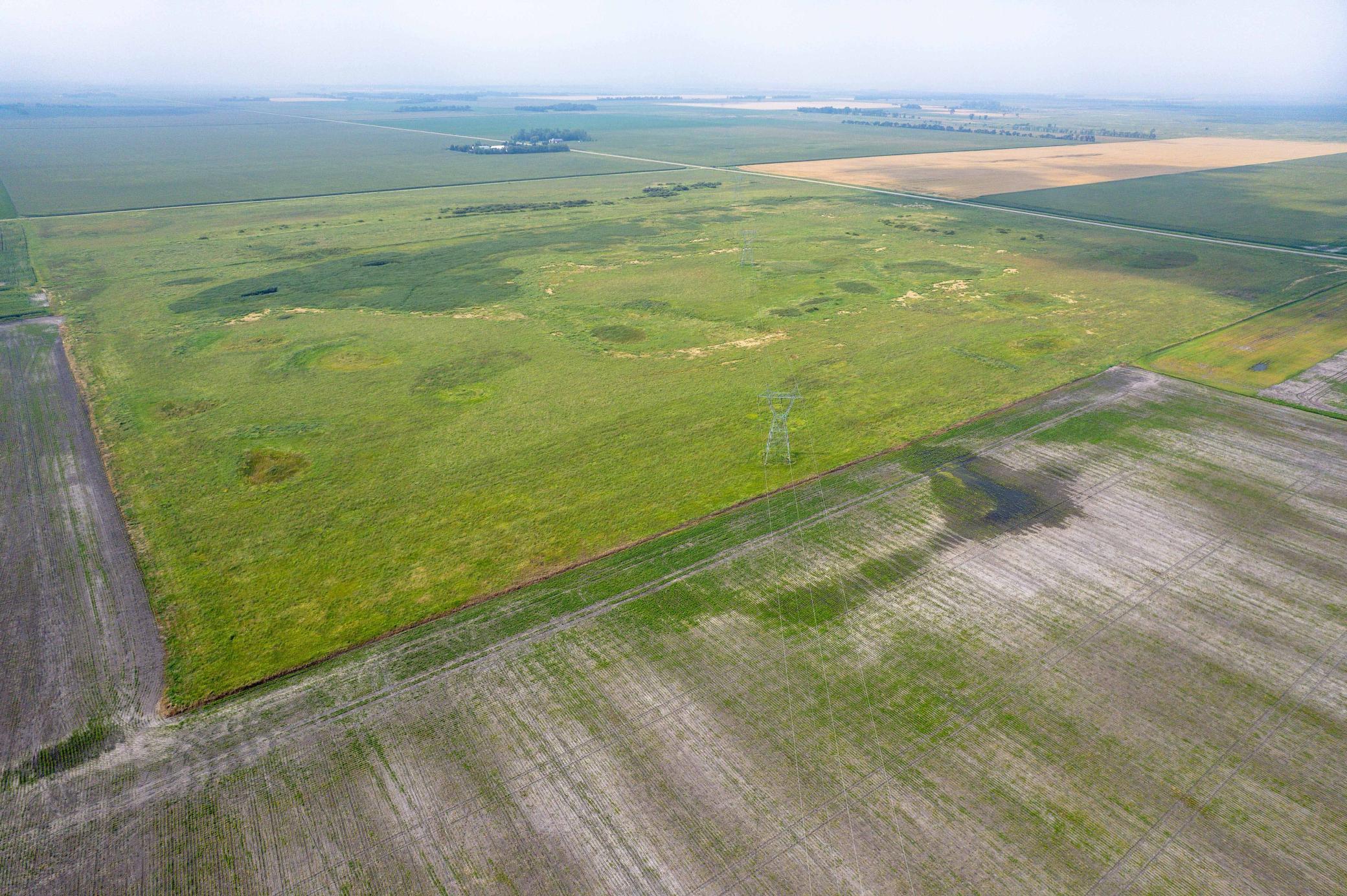 Tbd 250th Street Rothsay, MN 56579 - Photo 21 of 21