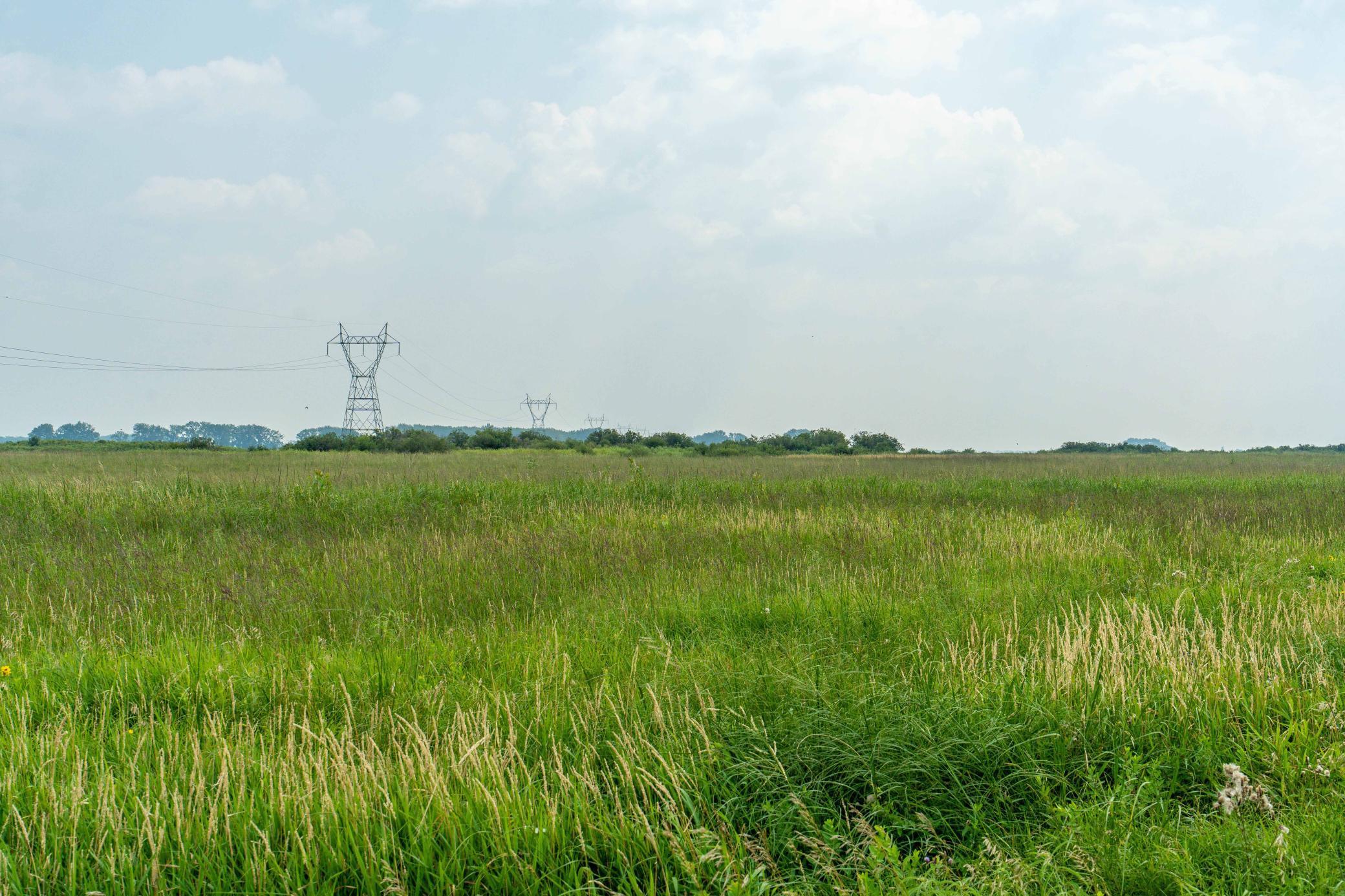 Tbd 250th Street Rothsay, MN 56579 - Photo 4 of 21