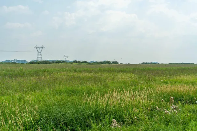 $160,000 | Tbd 250th Street, Rothsay, MN 56579