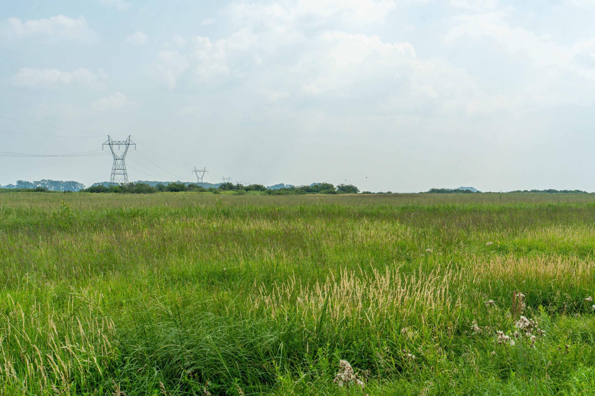 Tbd 250th Street Rothsay, MN 56579 - Photo 5 of 21