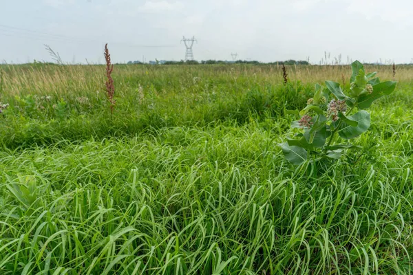 $160,000 | Tbd 250th Street, Rothsay, MN 56579