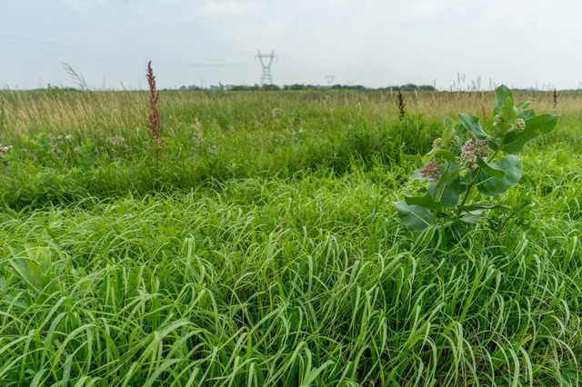 $160,000 | Tbd 250th Street, Rothsay, MN 56579