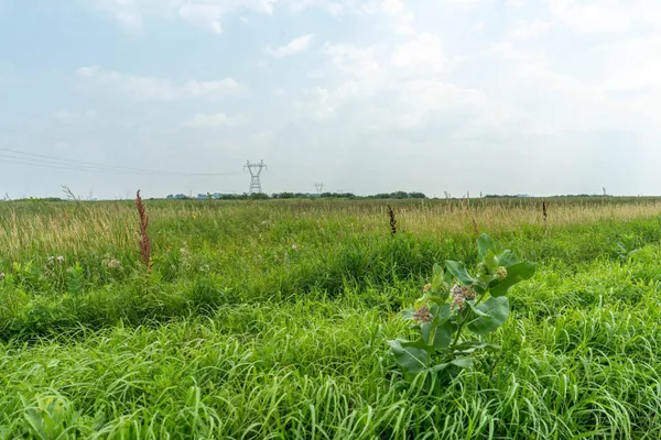 $160,000 | Tbd 250th Street, Rothsay, MN 56579