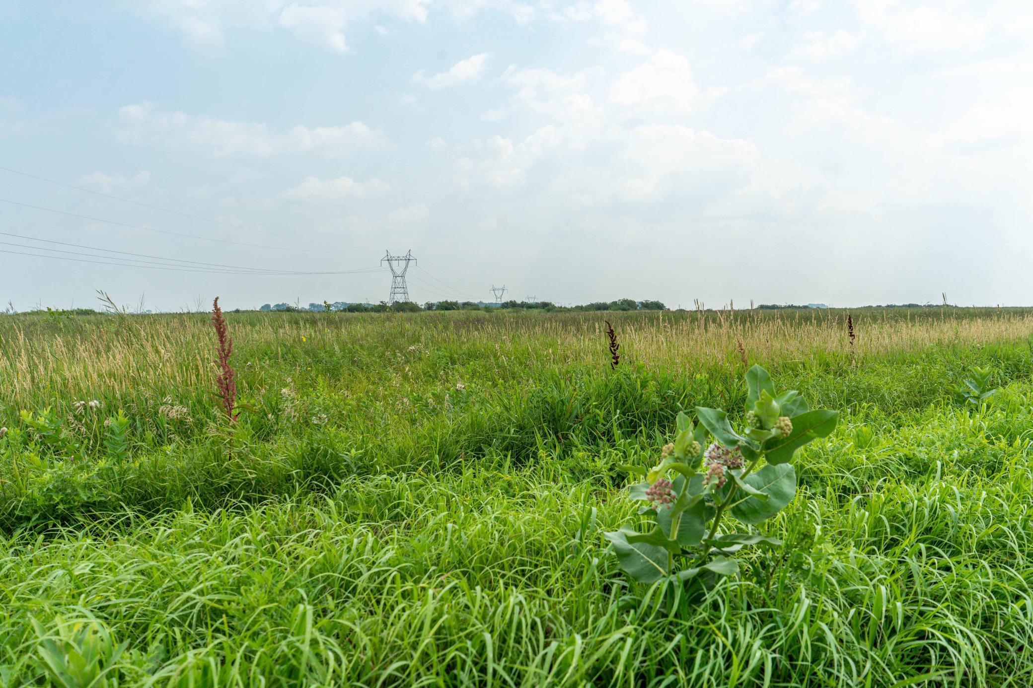 Tbd 250th Street Rothsay, MN 56579 - Photo 7 of 21