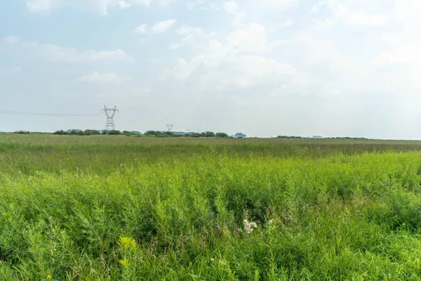 $160,000 | Tbd 250th Street, Rothsay, MN 56579