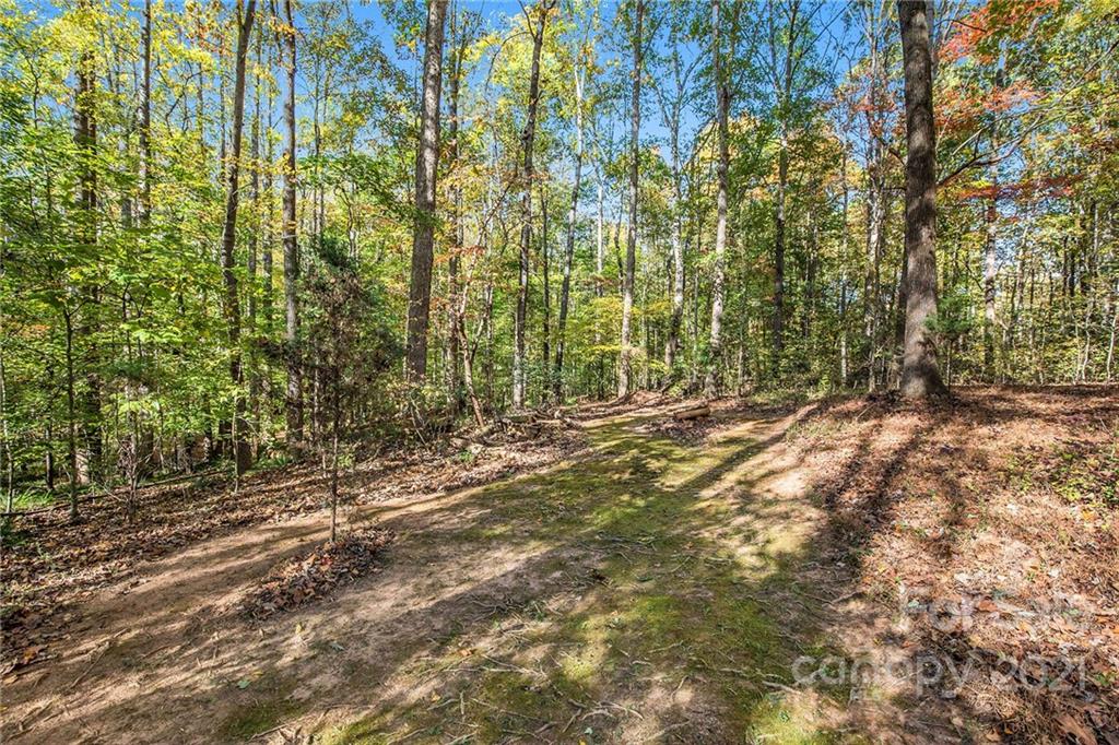 4517 Locklyn Road Waxhaw, NC 28173 - Photo 43 of 44 Gallery Image 43