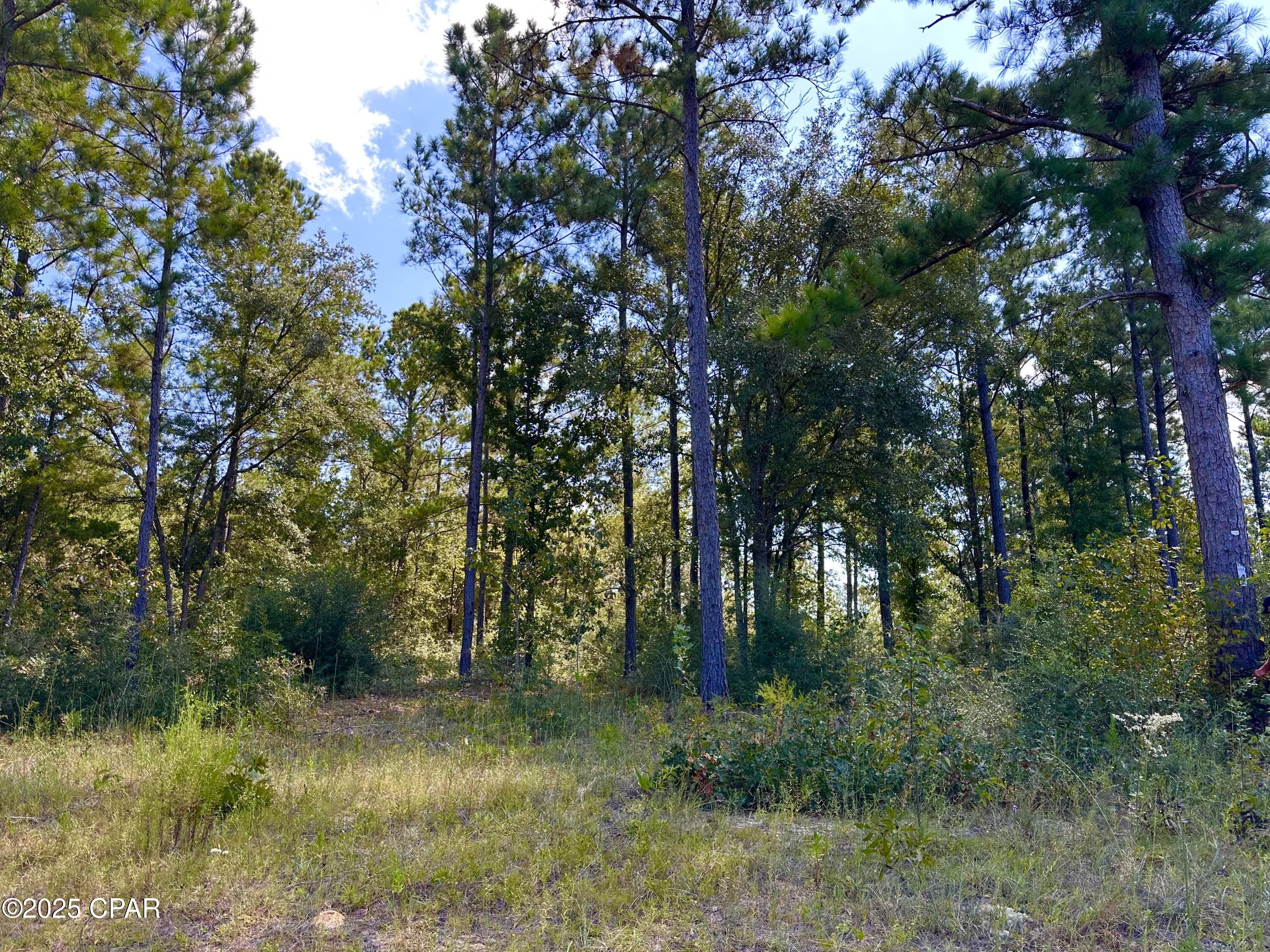 Lot 24 Fairview Road Marianna, FL 32448 - Photo 1 of 22 Gallery Image 1