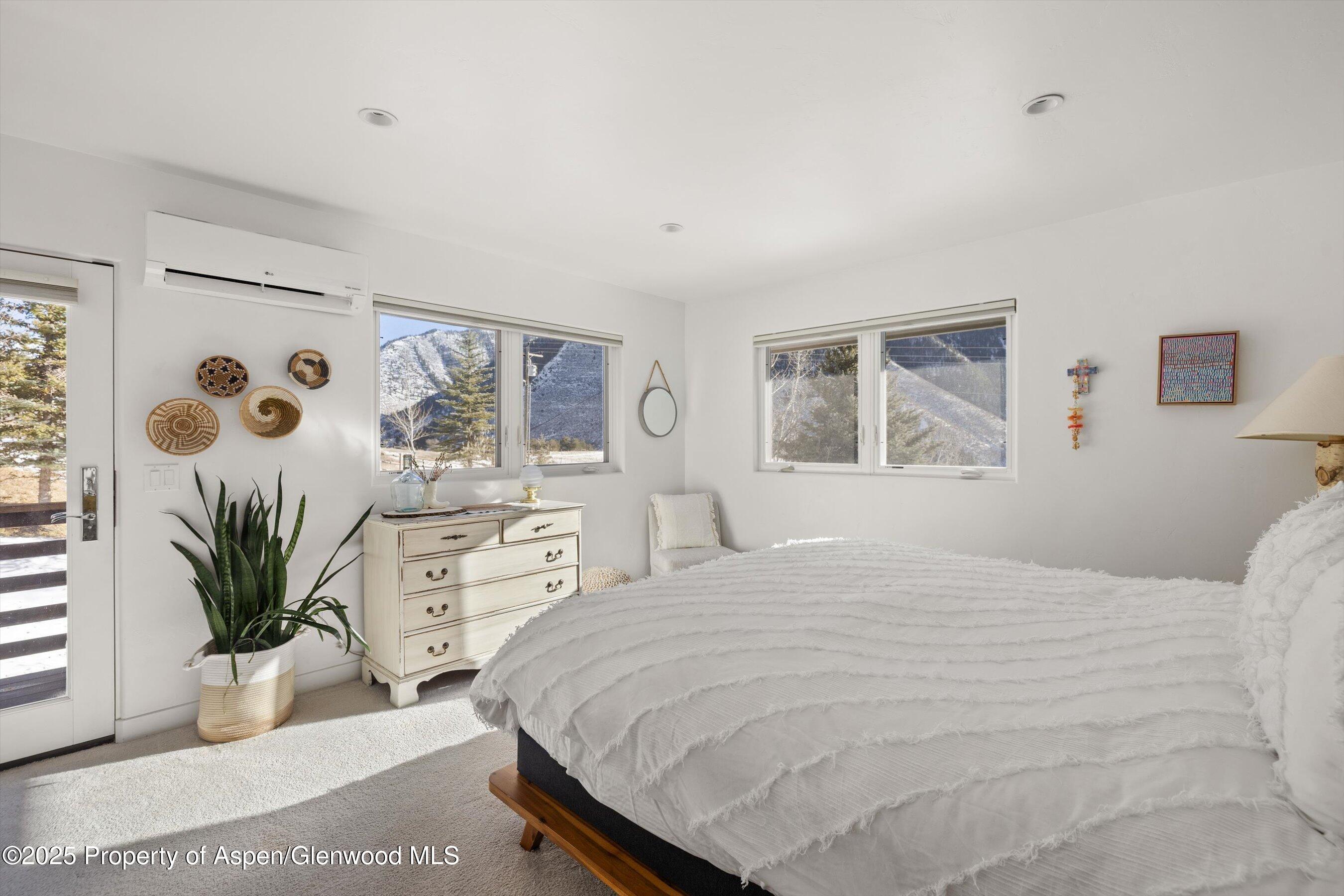 163 Castle Lane Basalt, CO 81621 - Photo 12 of 28 a bedroom with a large bed a potted plant and a window