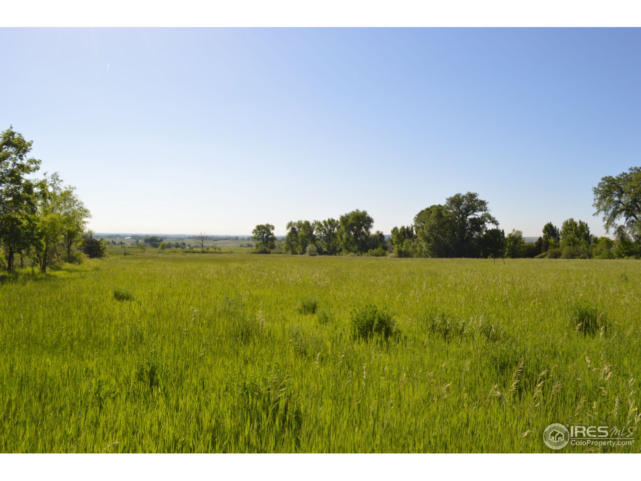5740 Prospect Road Longmont, CO 80503 - Photo 10 of 21 Pasture view 2