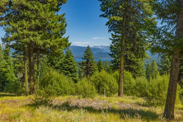 $1,500,000 | 641 Migratory Rdg Way, Unit 80, McCall, ID 83638