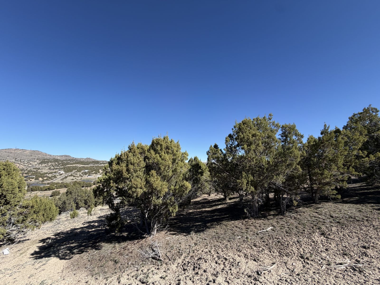 Andy's Way Elko, NV 89801 - Photo 1 of 16