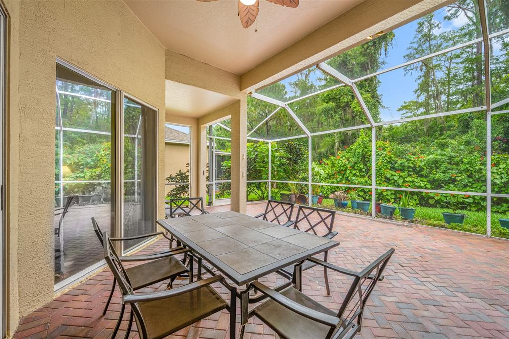 11421 Strathaven Court Trinity, FL 34655 - Photo 60 of 91 Gallery Image 60