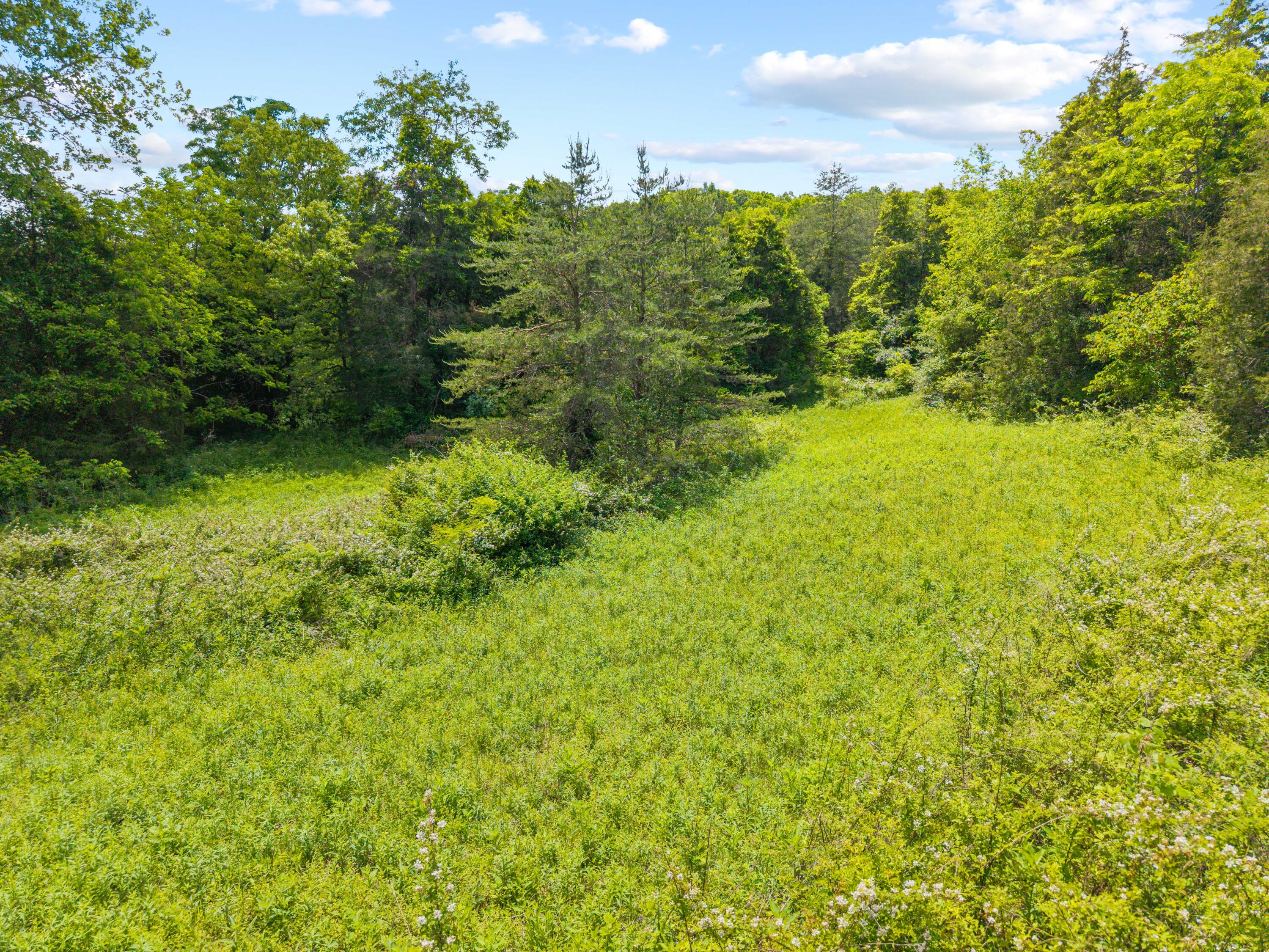 0 Sloans Valley Road Burnside, KY 42519 - Photo 14 of 38 Sloan Valley Land Photo-13