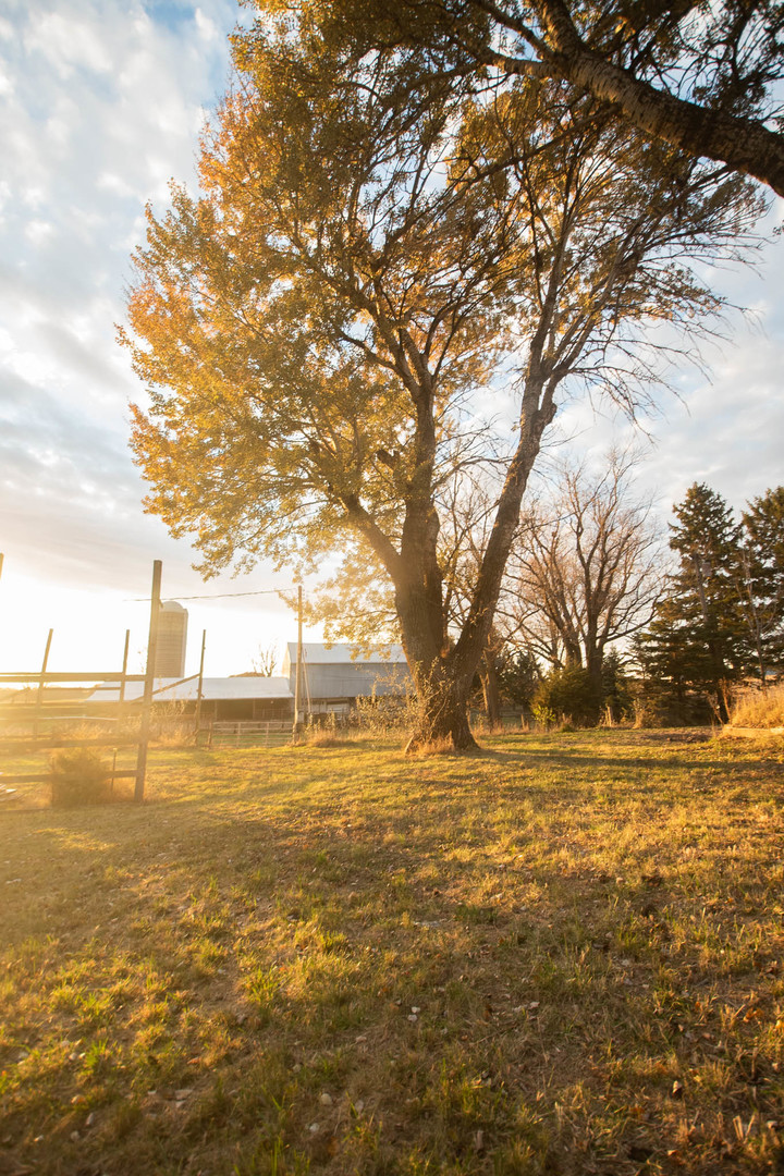 7029 West Penn Corner Road Polo, IL 61064 - Photo 9 of 17 a view of an ocean