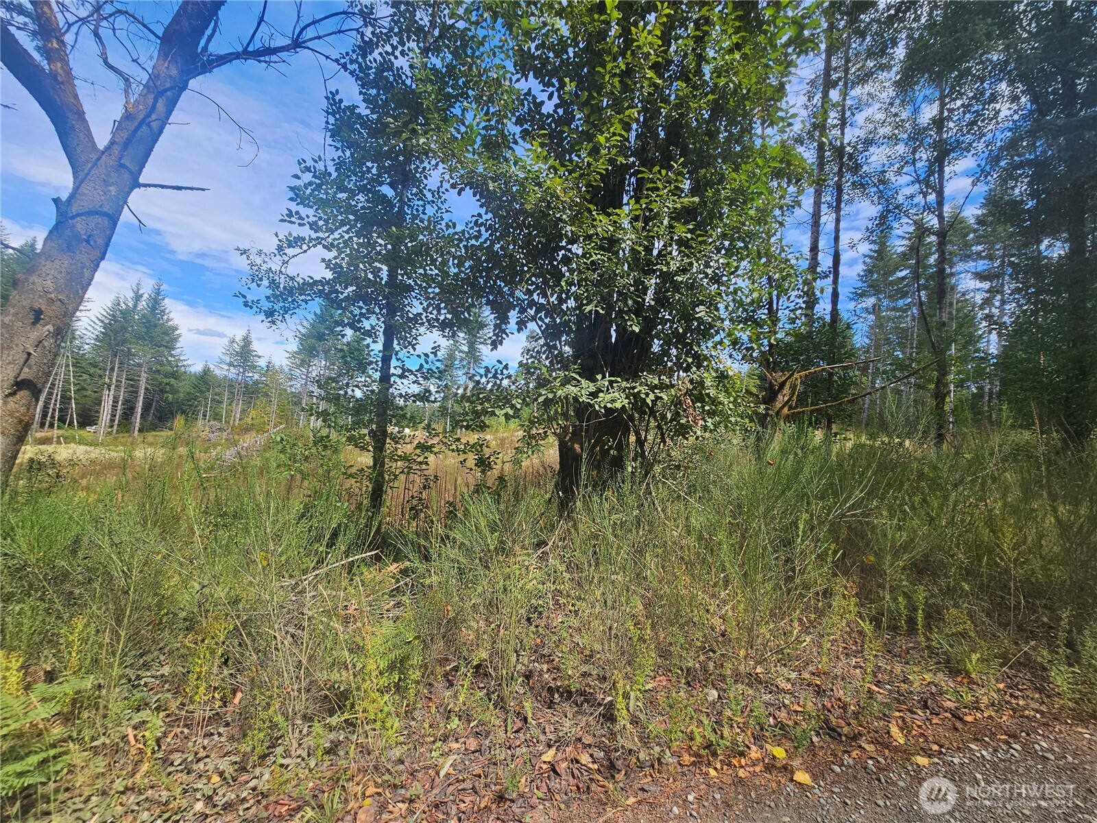 91 East Joyce Lane Belfair, WA 98528 - Photo 3 of 9 a view of lake