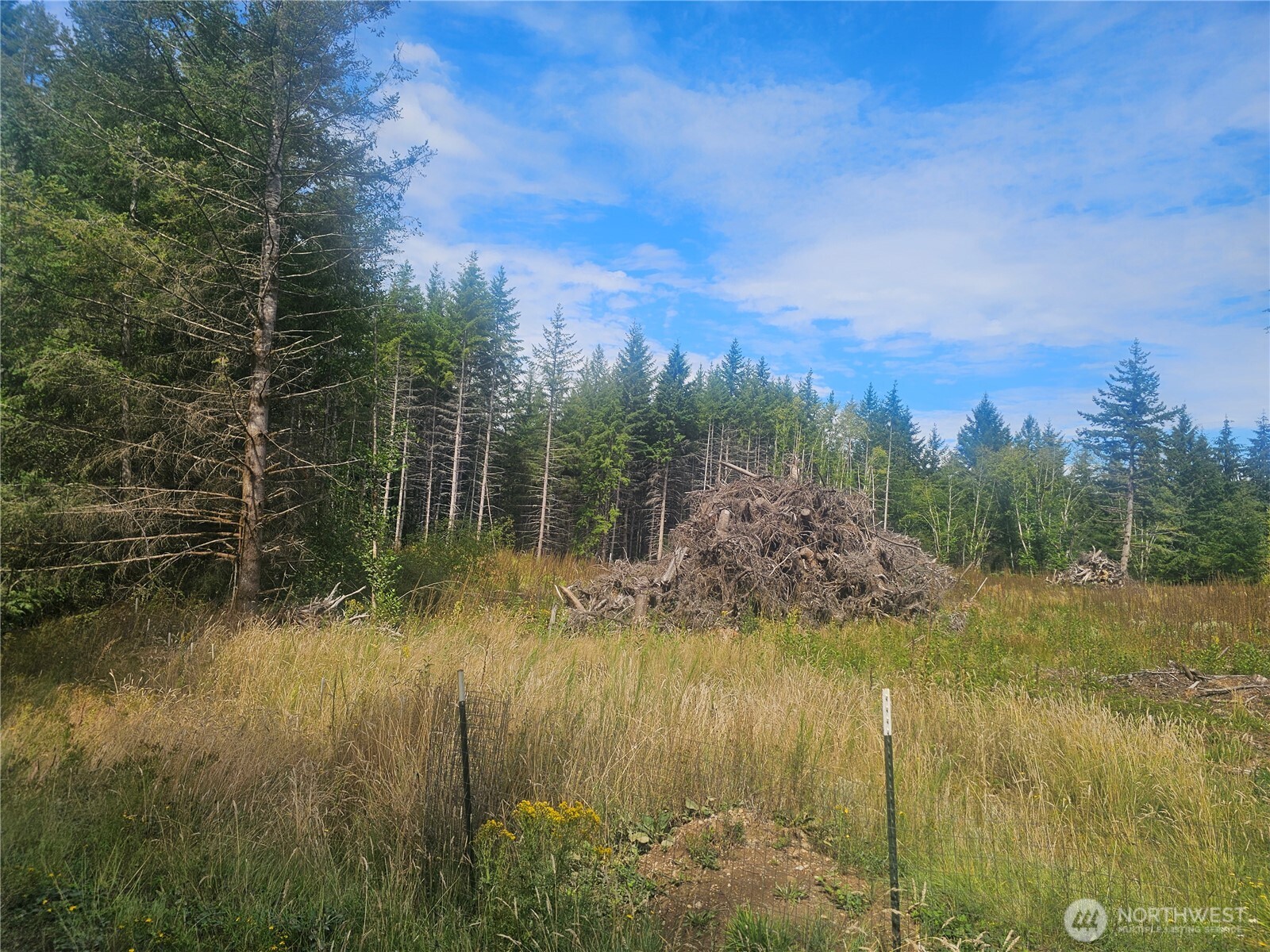 91 East Joyce Lane Belfair, WA 98528 - Photo 6 of 9 a view of lake with green space