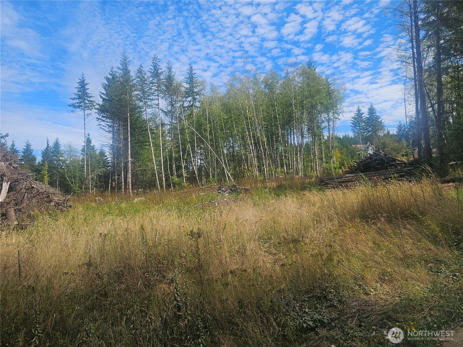 91 East Joyce Lane Belfair, WA 98528 - Photo 7 of 9 a view of a lake with a yard