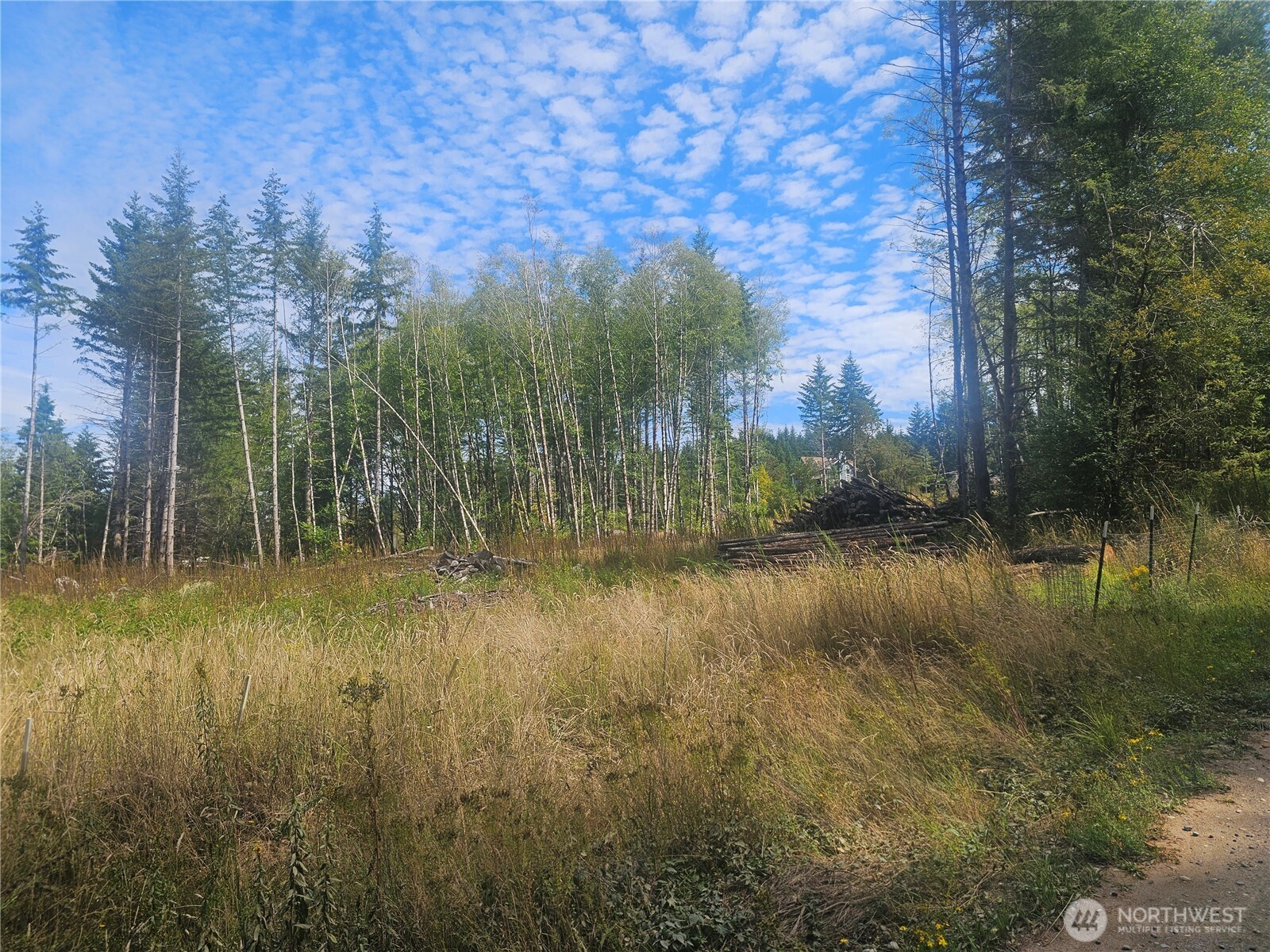 91 East Joyce Lane Belfair, WA 98528 - Photo 8 of 9 a view of lake