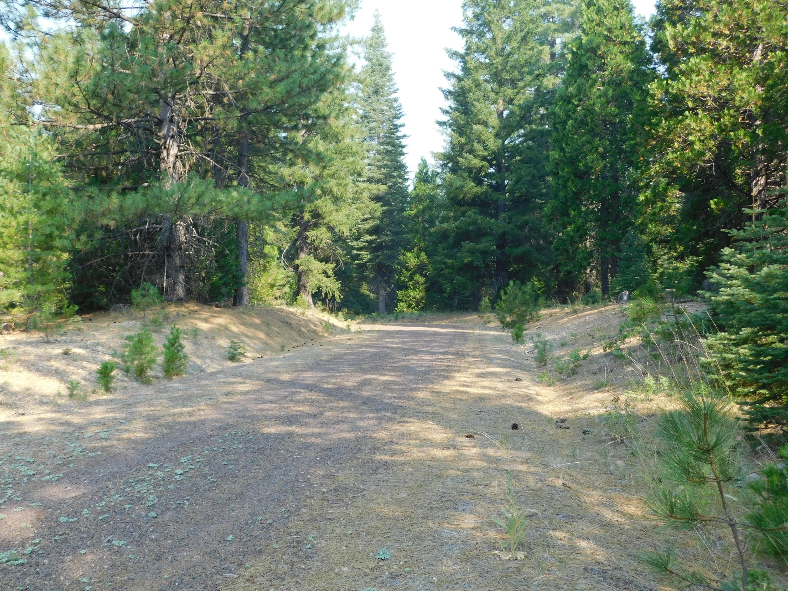 Lot # 2 Antone Road Shingletown, CA 96088 - Photo 3 of 10 DSCN0476