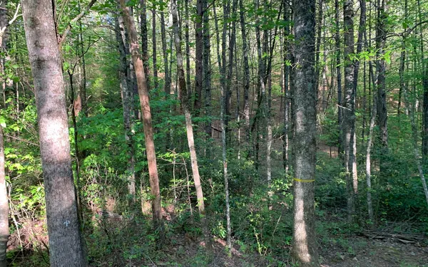 $30,000 | Lot # Hunter Vly Road, Murphy, NC 28906