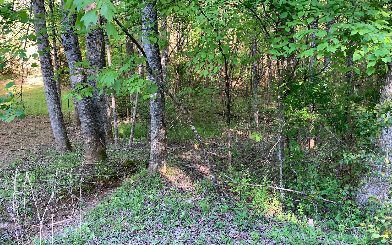 Lot # Hunter Vly Road Murphy, NC 28906 - Photo 2 of 14 Additional View