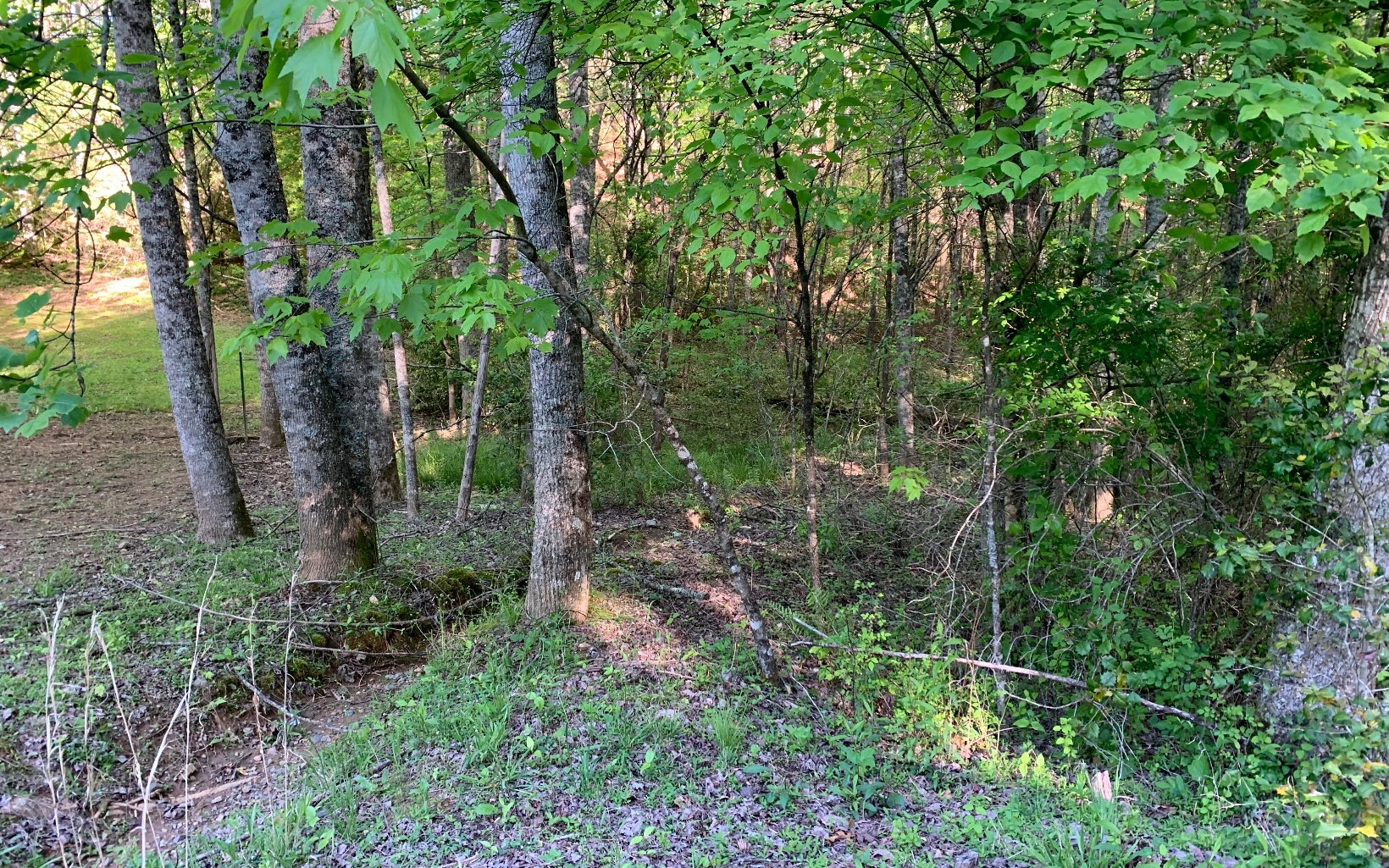 Lot # Hunter Vly Road Murphy, NC 28906 - Photo 3 of 14 Additional View