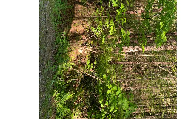 $30,000 | Lot # Hunter Vly Road, Murphy, NC 28906