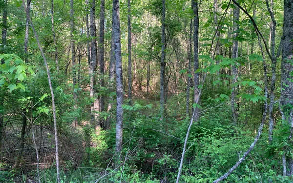$30,000 | Lot # Hunter Vly Road, Murphy, NC 28906