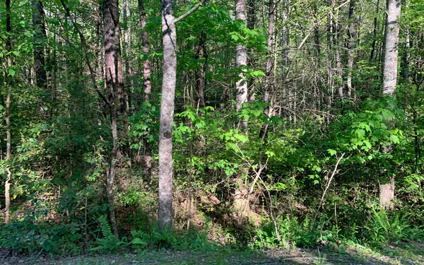 $30,000 | Lot # Hunter Vly Road, Murphy, NC 28906