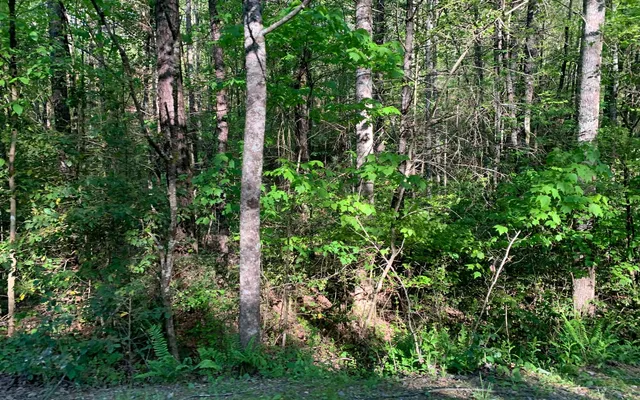 $30,000 | Lot # Hunter Vly Road, Murphy, NC 28906