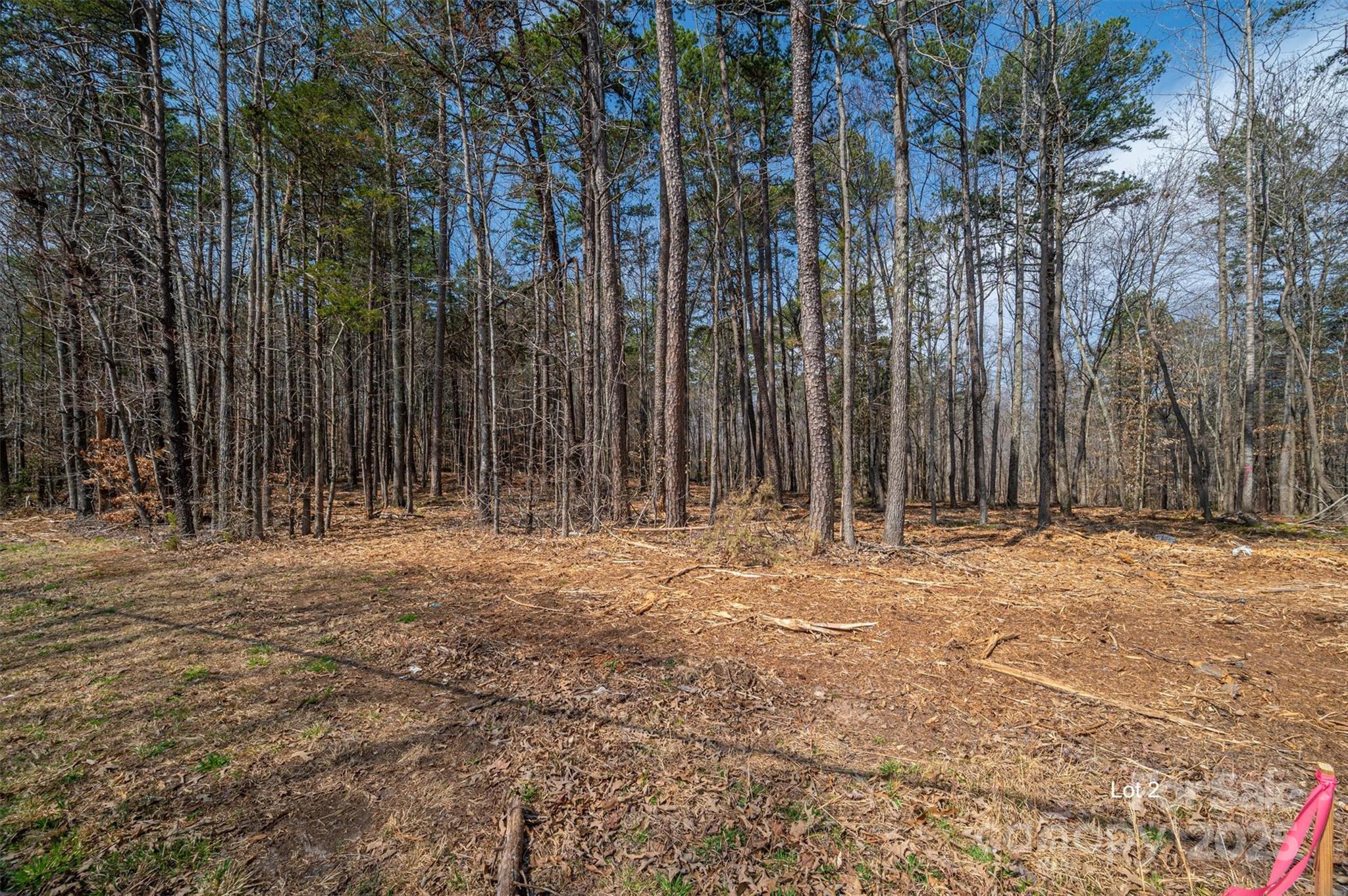 0 Forney Hill Road, Unit 2 Denver, NC 28037 - Photo 3 of 6 Gallery Image 3