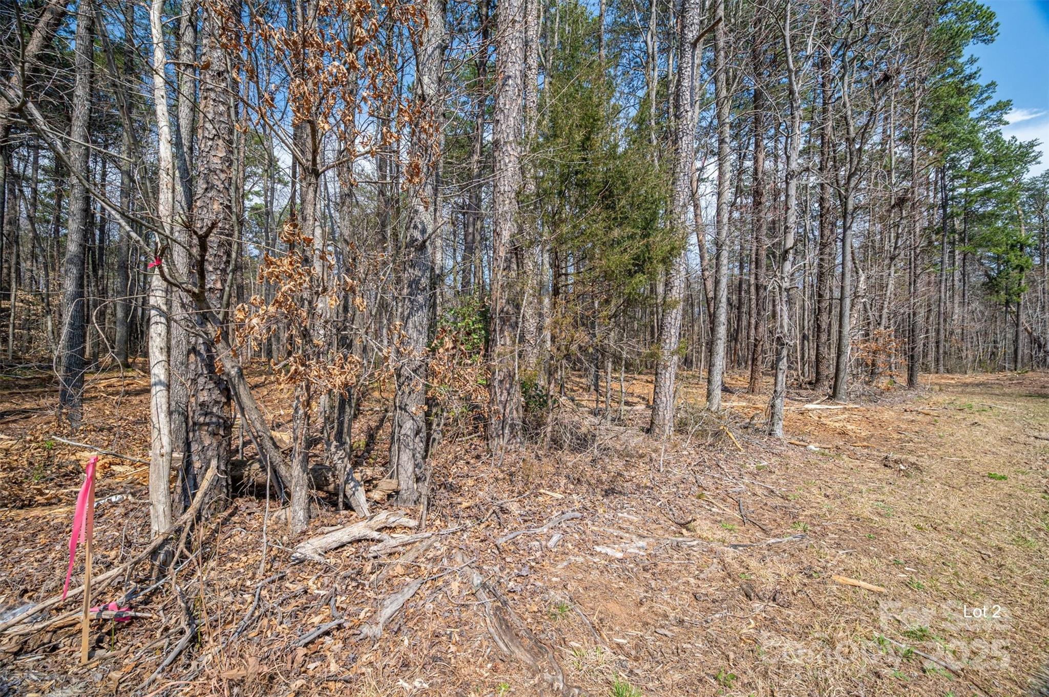 0 Forney Hill Road, Unit 2 Denver, NC 28037 - Photo 4 of 6 Gallery Image 4