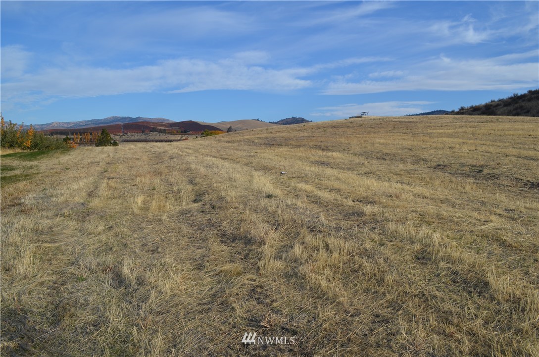 811 Boyd Road Chelan, WA 98816 - Photo 11 of 15 Gallery Image 11