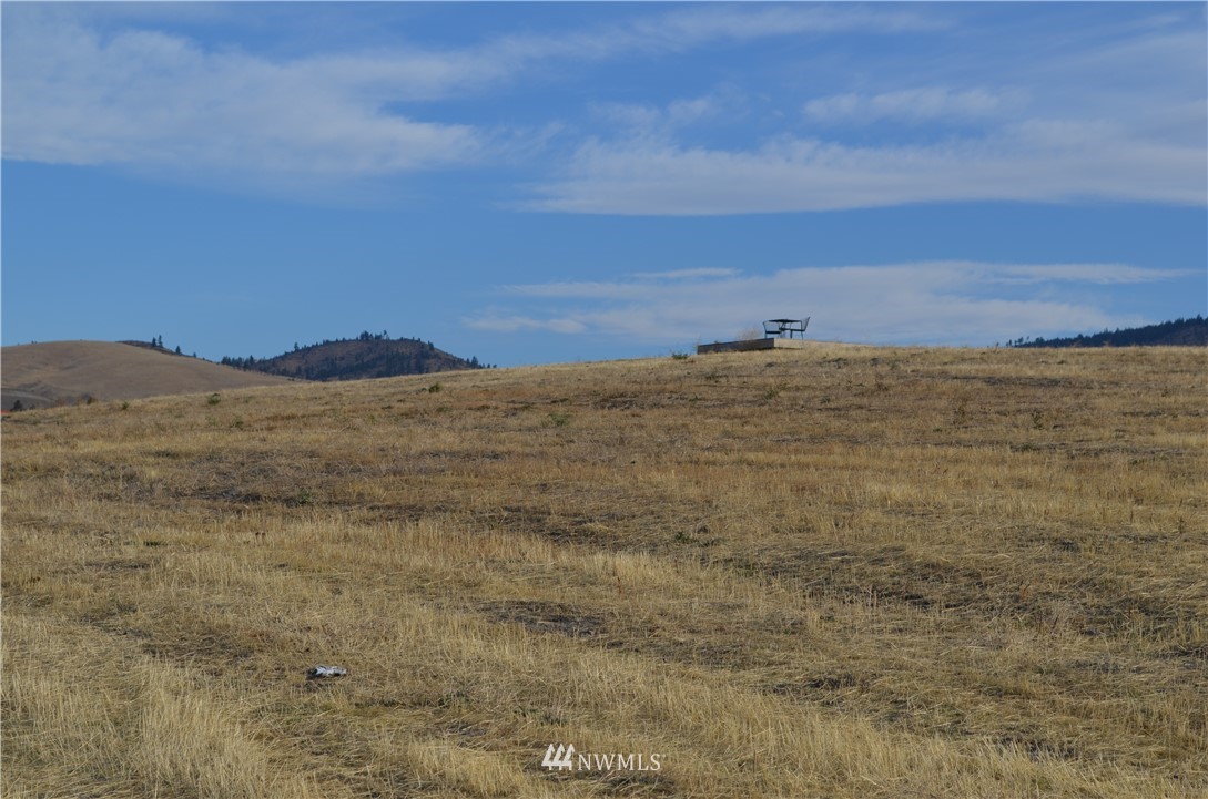 811 Boyd Road Chelan, WA 98816 - Photo 14 of 15 Gallery Image 14