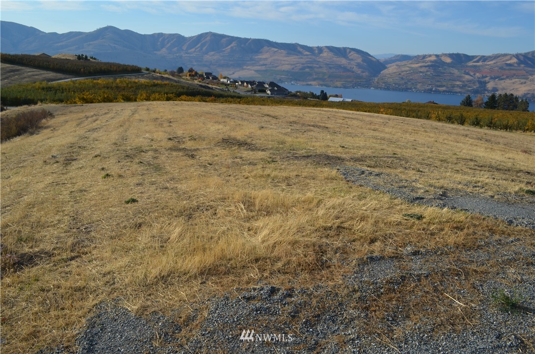 811 Boyd Road Chelan, WA 98816 - Photo 4 of 15 Gallery Image 4