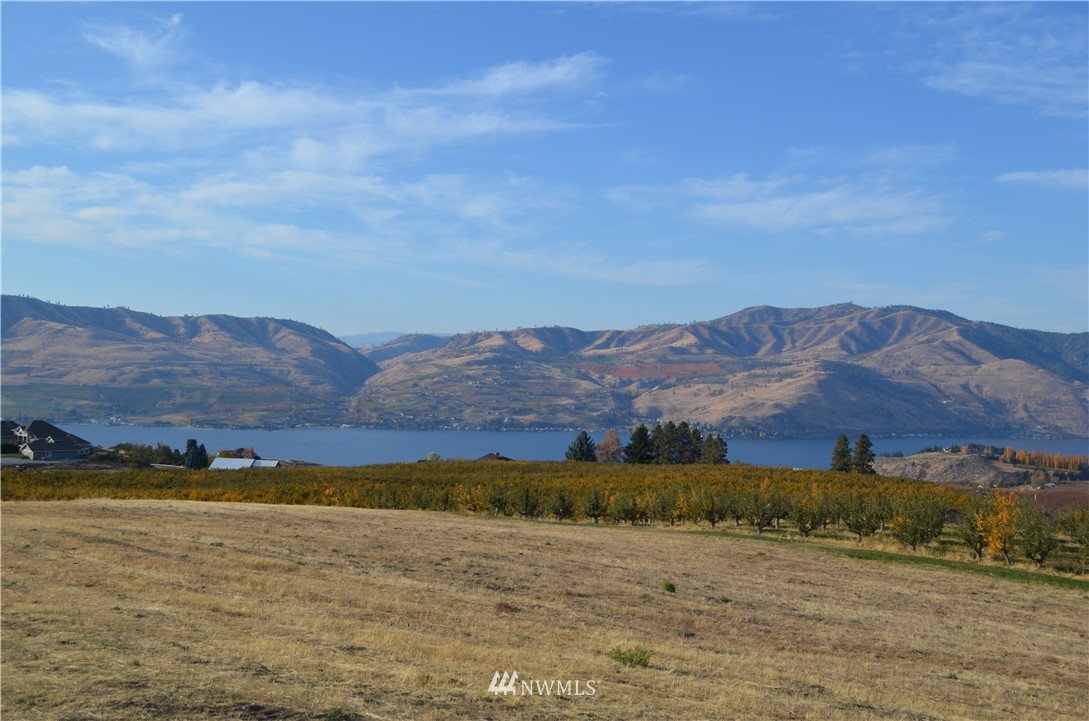811 Boyd Road Chelan, WA 98816 - Photo 5 of 15 Gallery Image 5