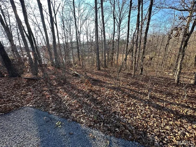 $55,000 | 13 Wagon Creek Loop, Creal Springs, IL 62922