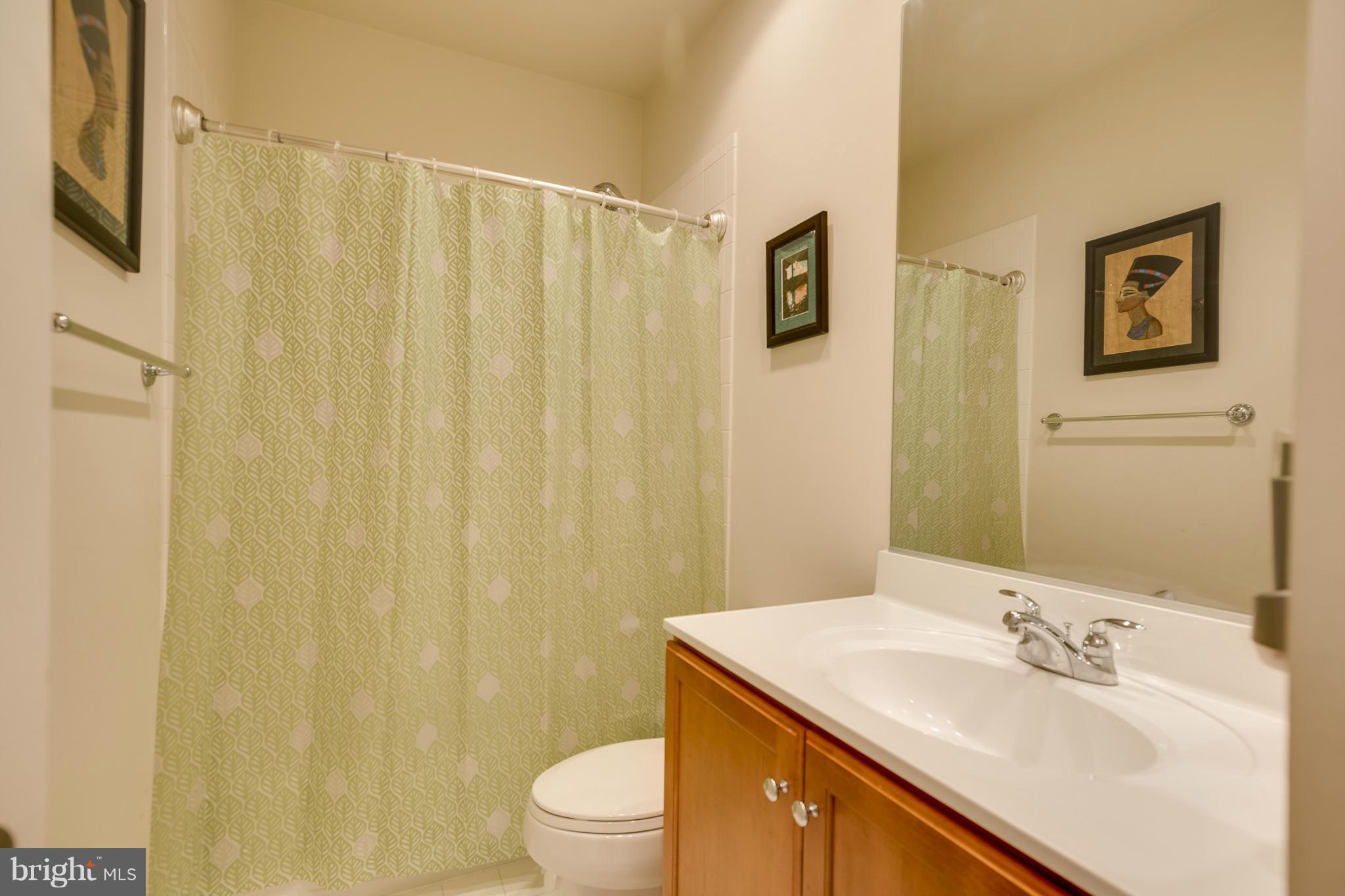 9508 Ament Street Silver Spring, MD 20910 - Photo 20 of 25 Bath