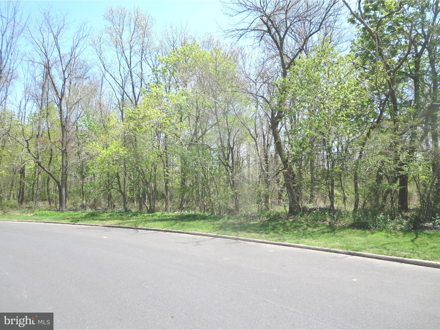 104 Verdant Road Levittown, PA 19057 - Photo 6 of 25 View from Front Door
