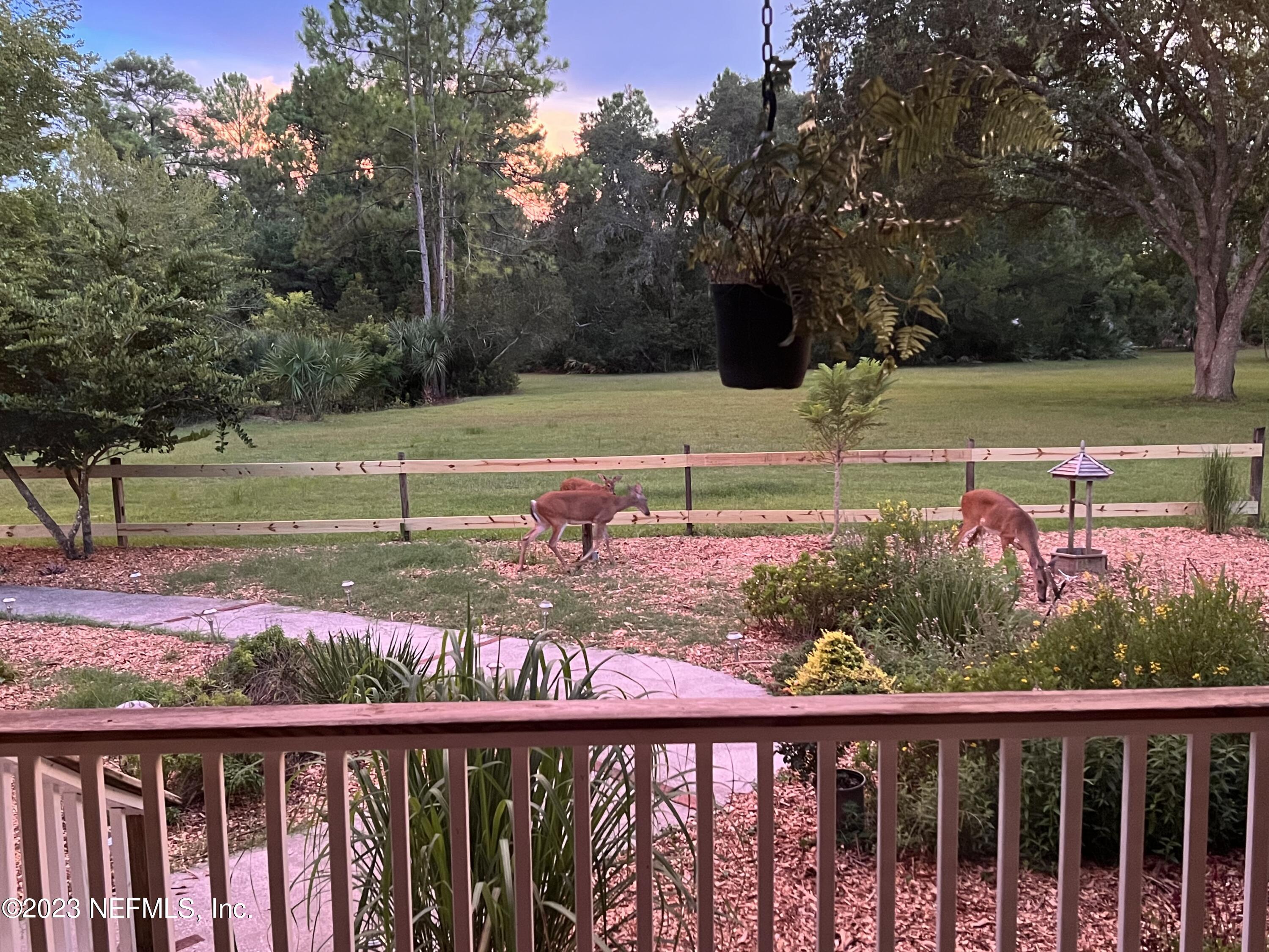 1100 Oak Ridge Road St. Augustine, FL 32086 - Photo 95 of 95 09B409D8-A51B-41EB-B4E1-9858FA411500