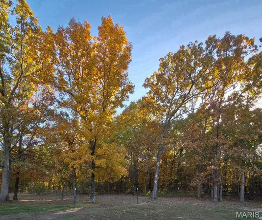 $595,000 | 2066 State Rd Jj, Stoutland, MO 65567