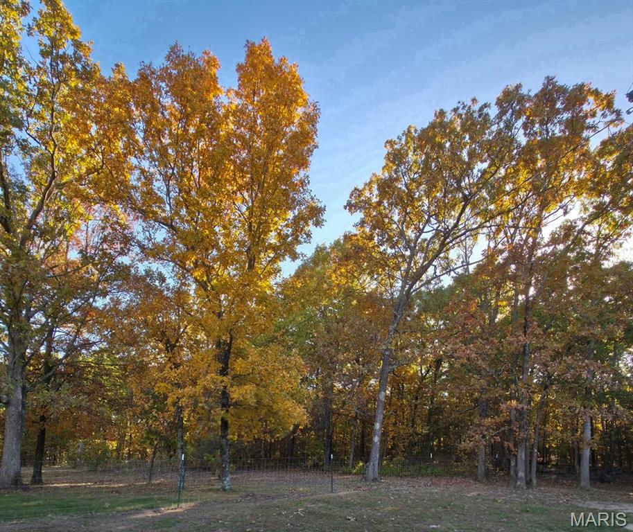 2066 State Rd Jj Stoutland, MO 65567 - Photo 6 of 10